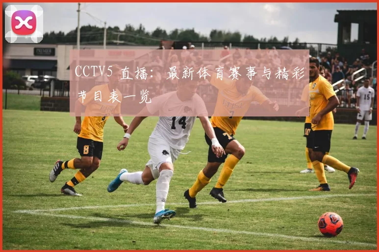 CCTV5 直播：最新体育赛事与精彩节目表一览